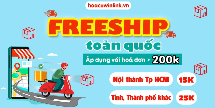 ảnh 1