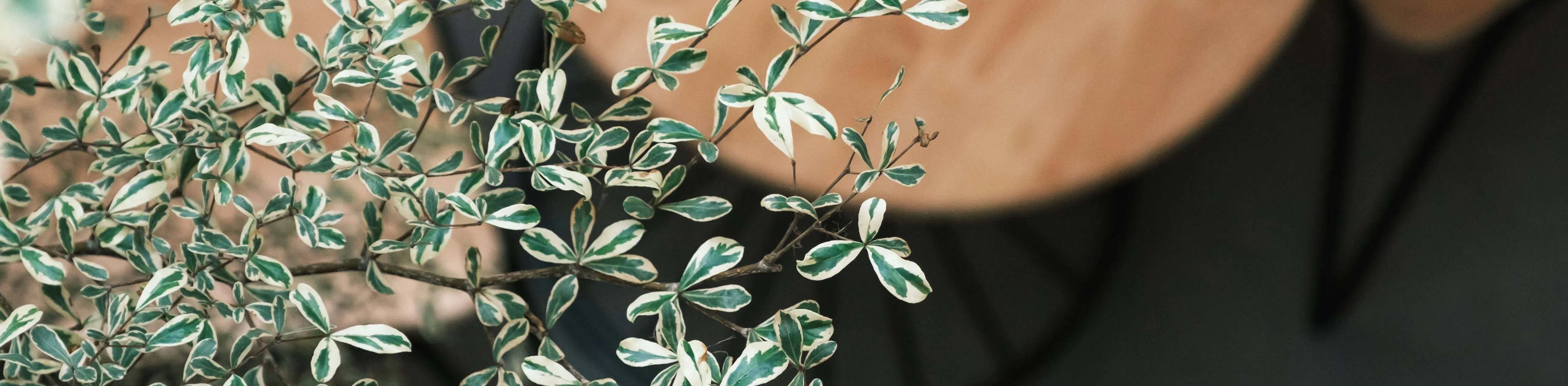 ảnh small 1