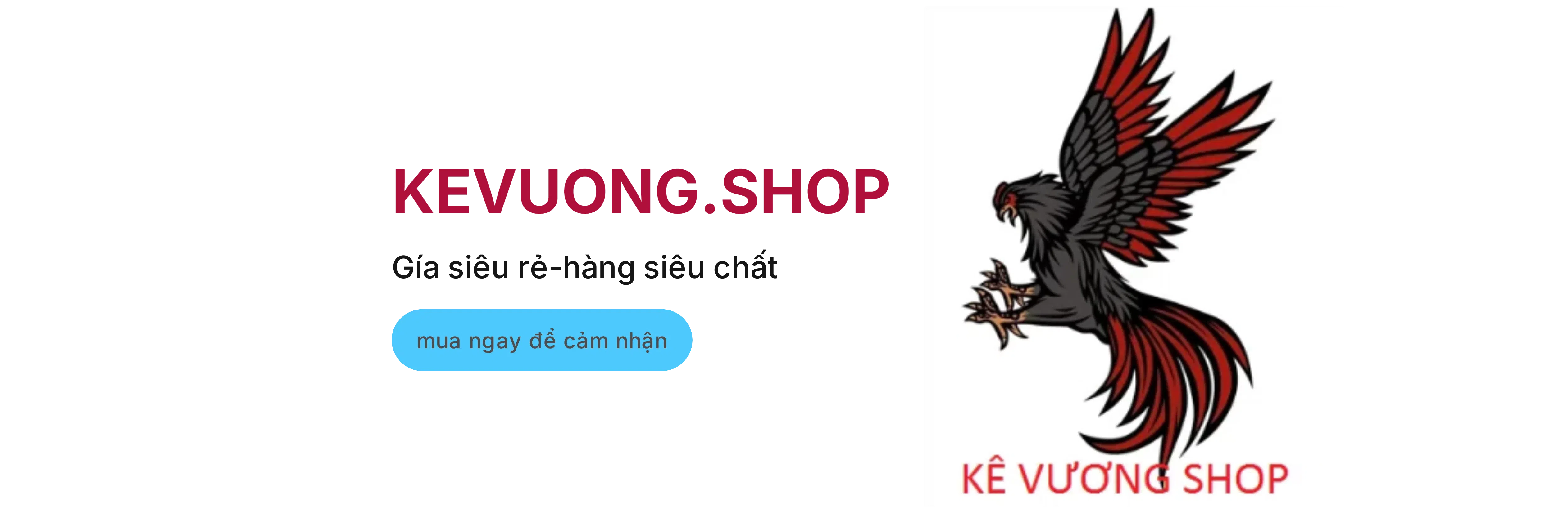ảnh 1