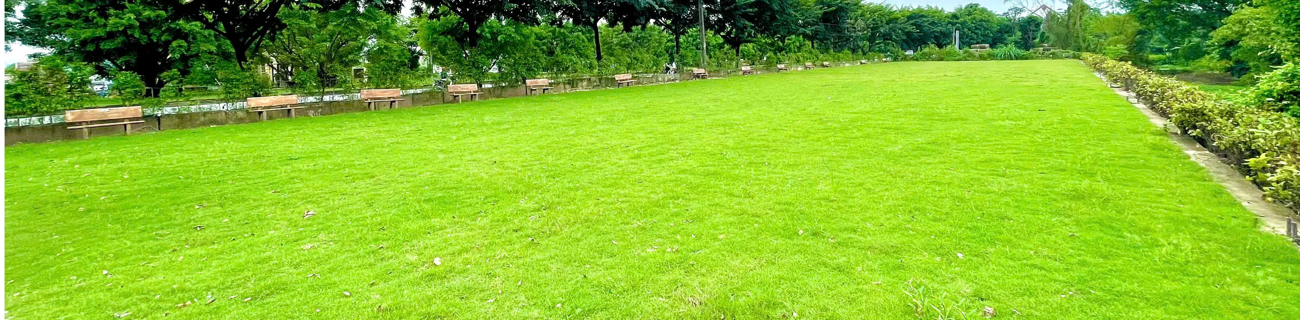 ảnh small 1
