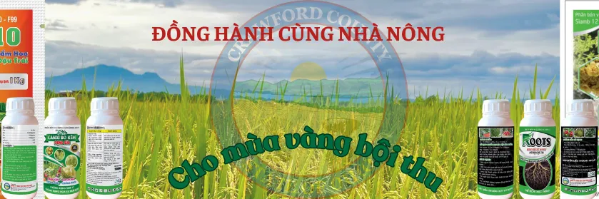 ảnh 1