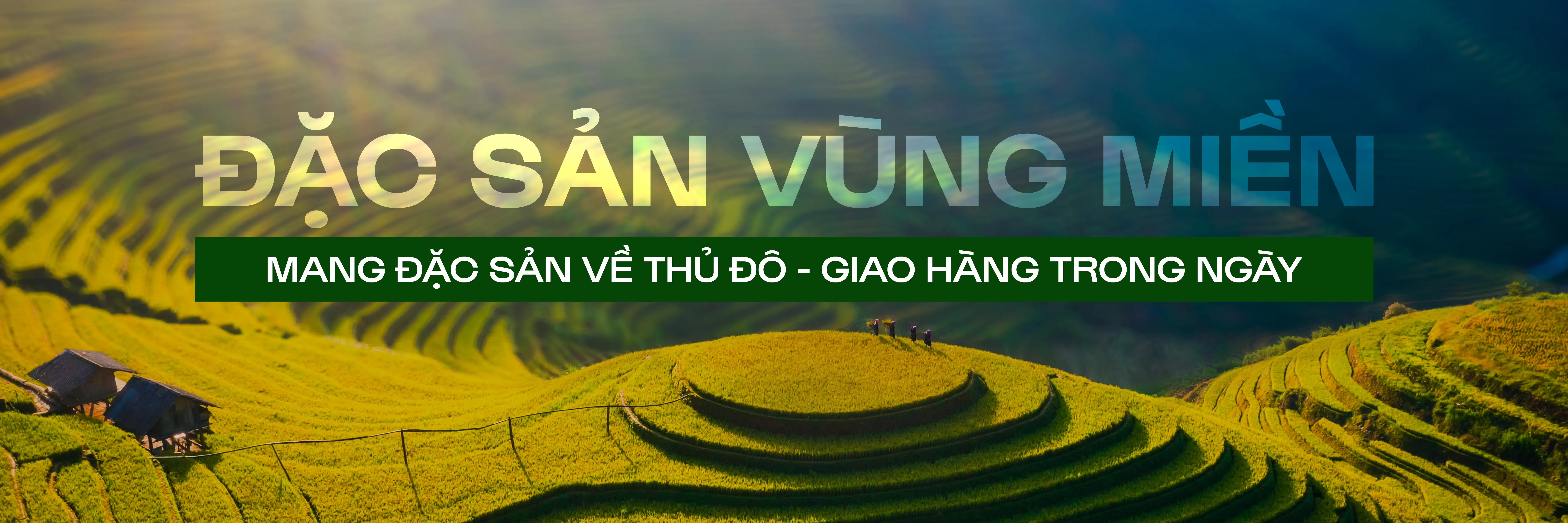 ảnh 1