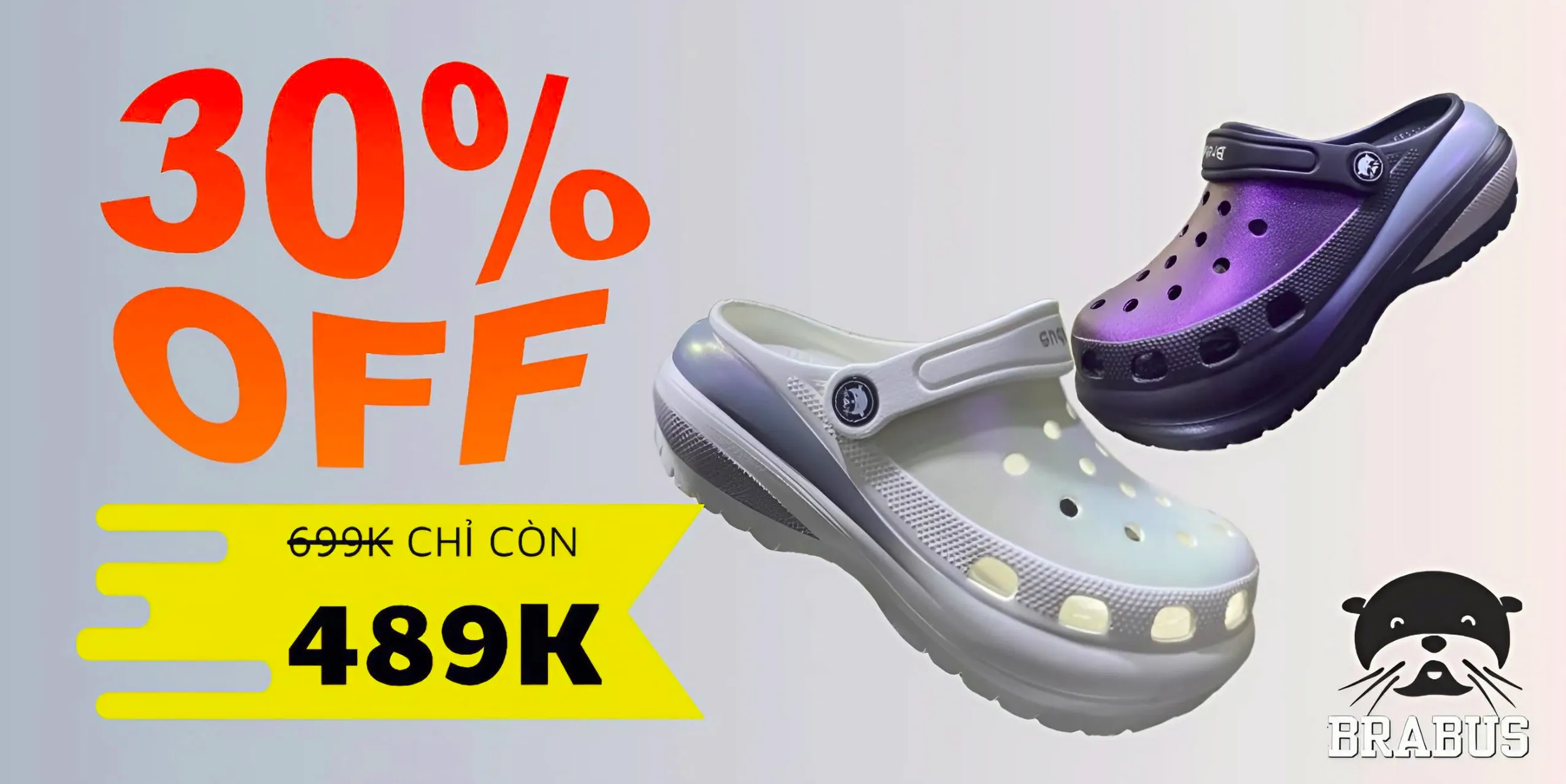 ảnh small 1