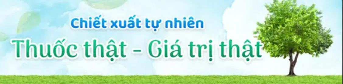 ảnh small 2