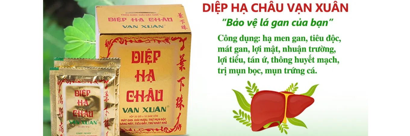 ảnh 1