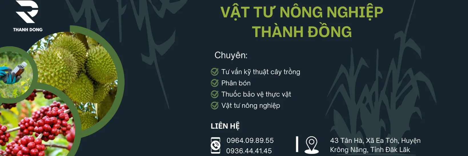 ảnh 1