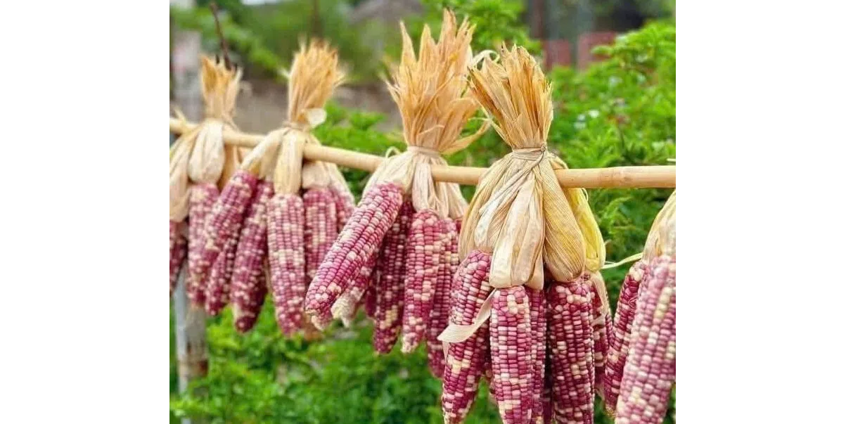 ảnh small 1