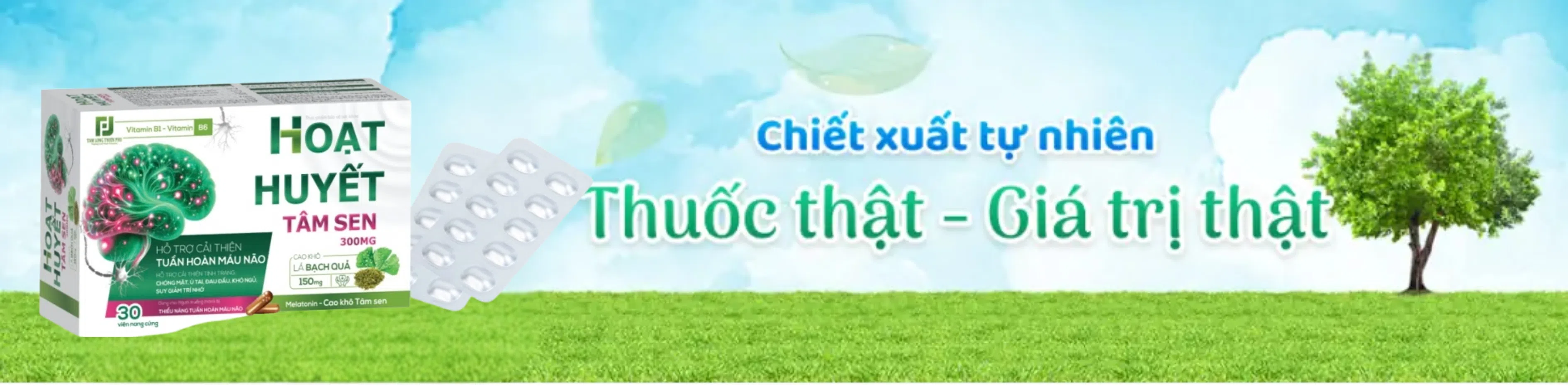 ảnh small 2
