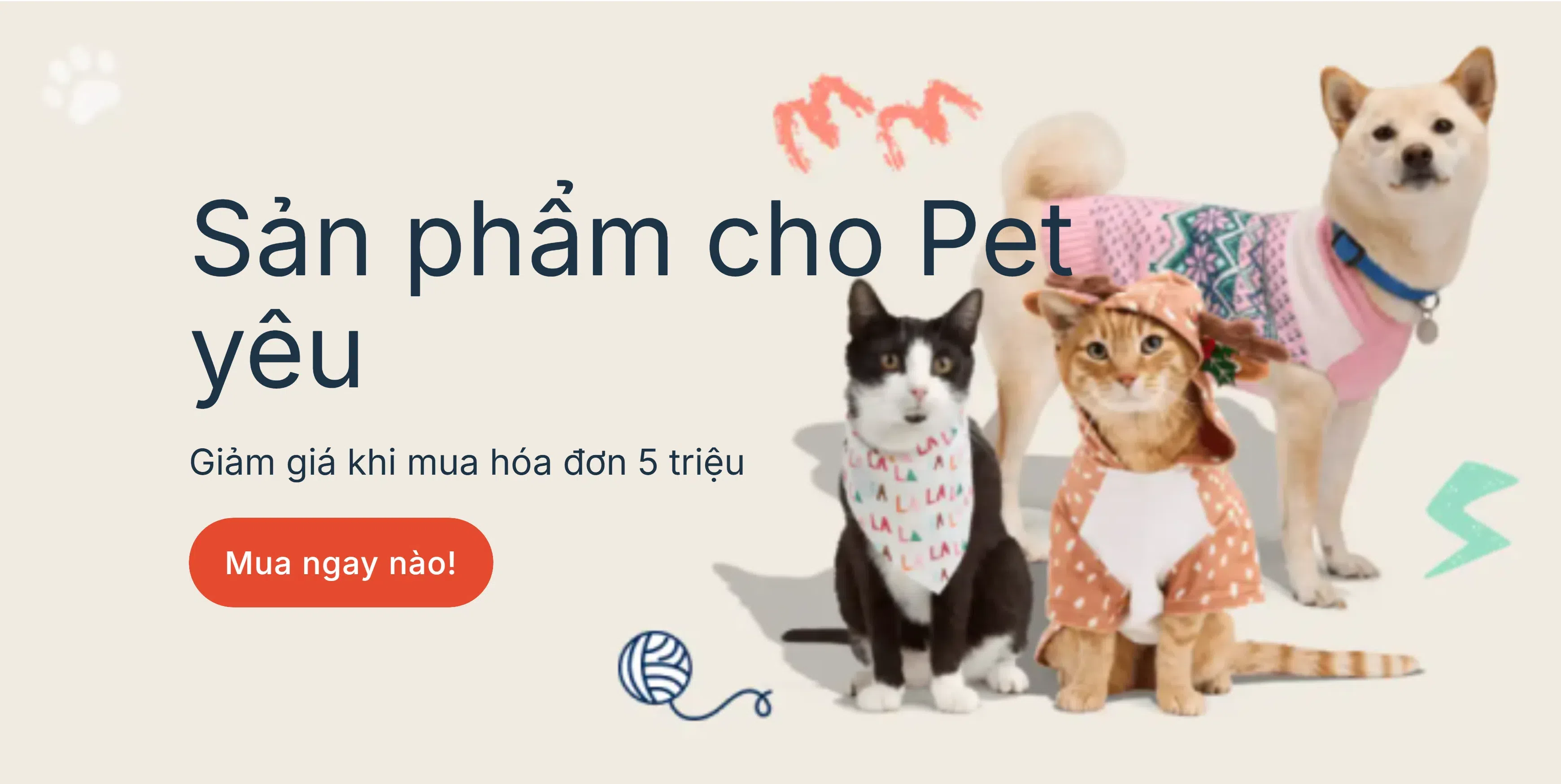 ảnh 1