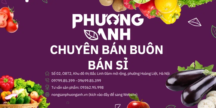 ảnh small 1
