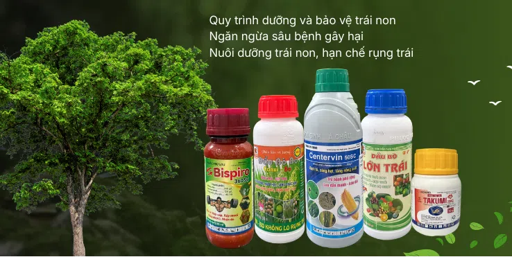 ảnh 1