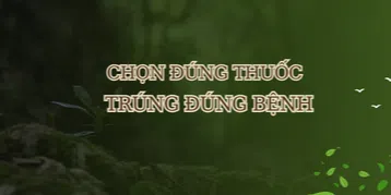 ảnh small 2