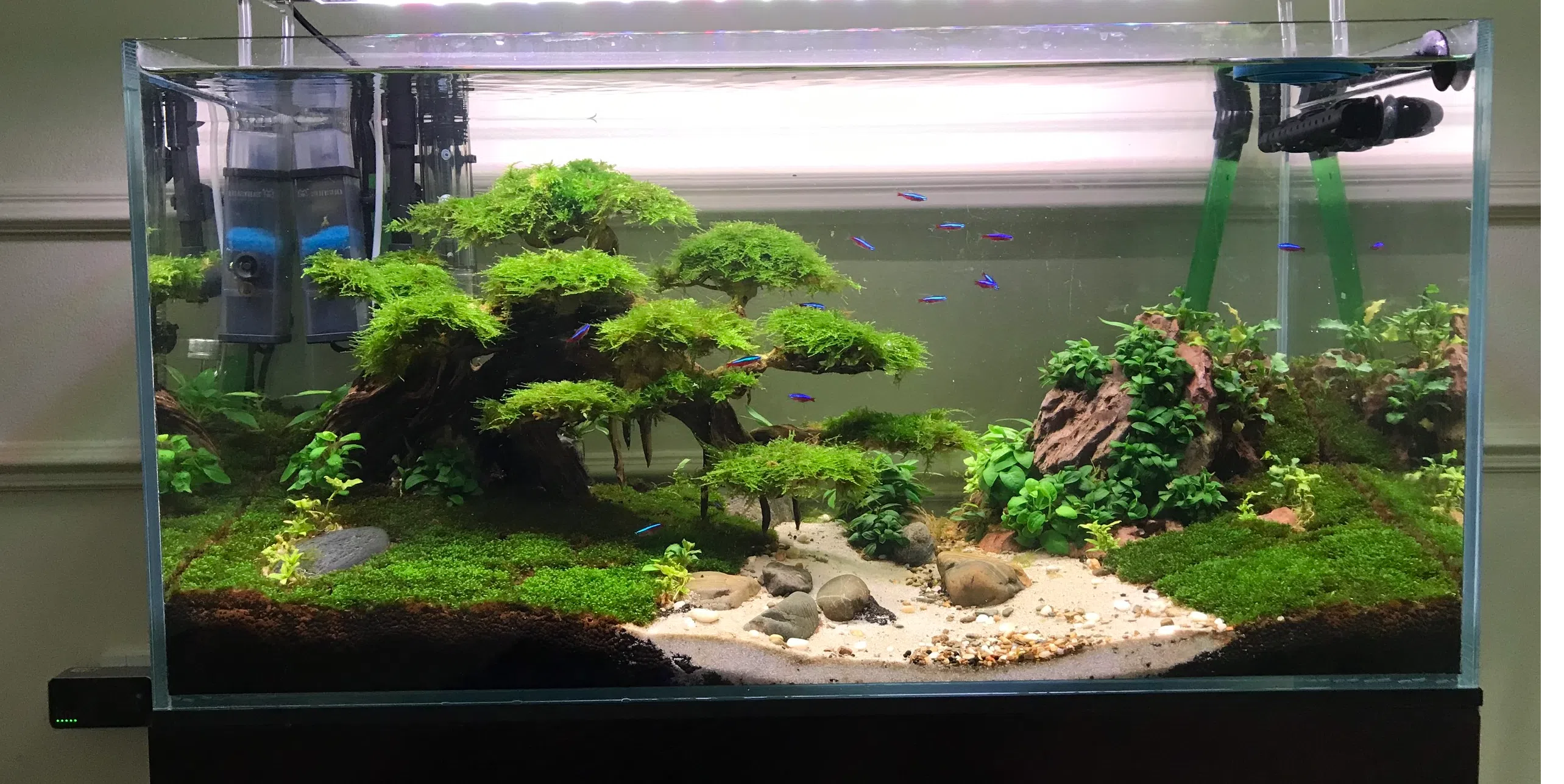 ảnh small 2