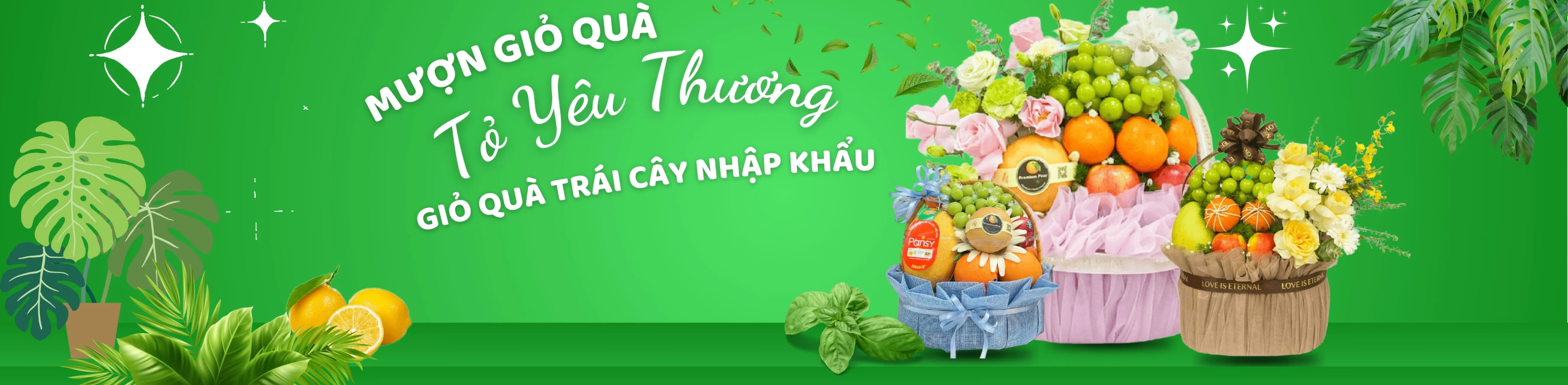 ảnh small 2