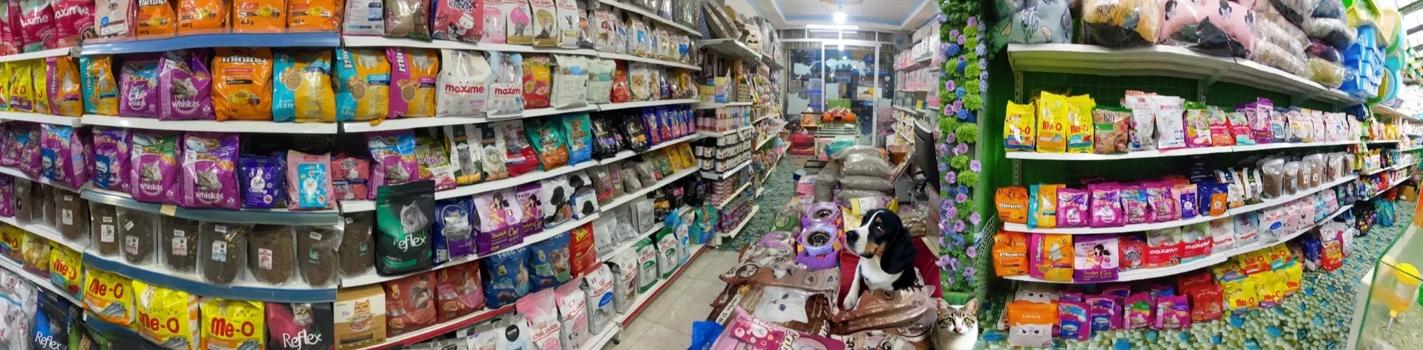 ảnh small 1