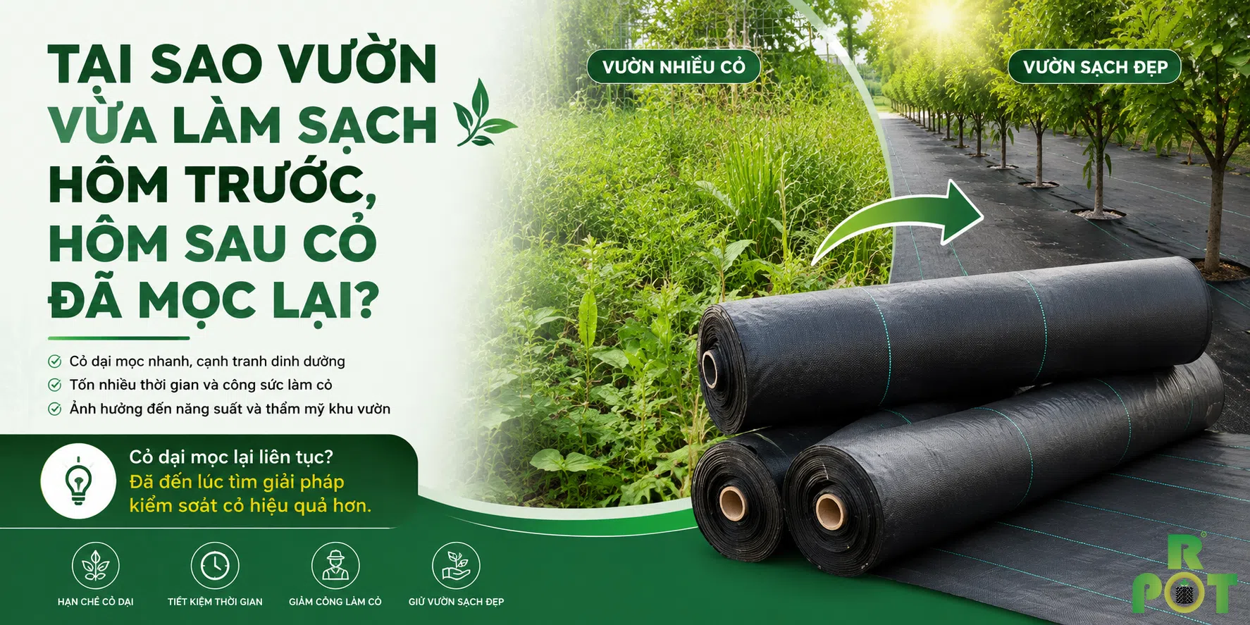 Tại sao vườn vừa làm sạch hôm trước, hôm sau cỏ đã mọc lại?