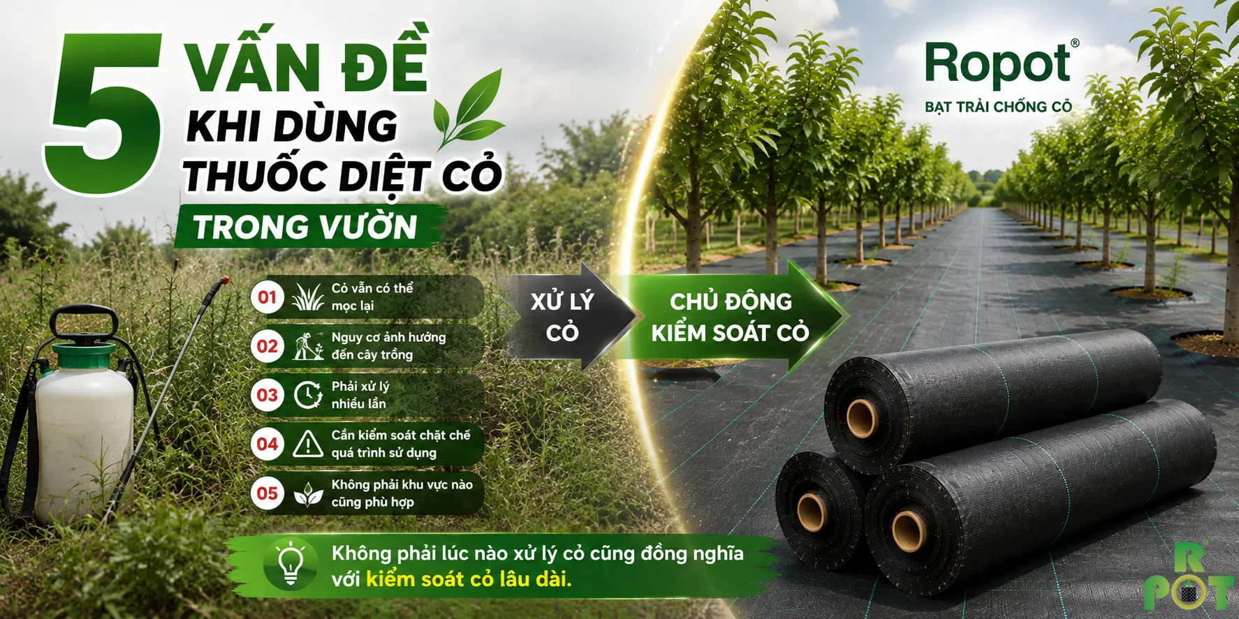 5 Vấn Đề Khi Dùng Thuốc Diệt Cỏ Trong Vườn & Giải Pháp