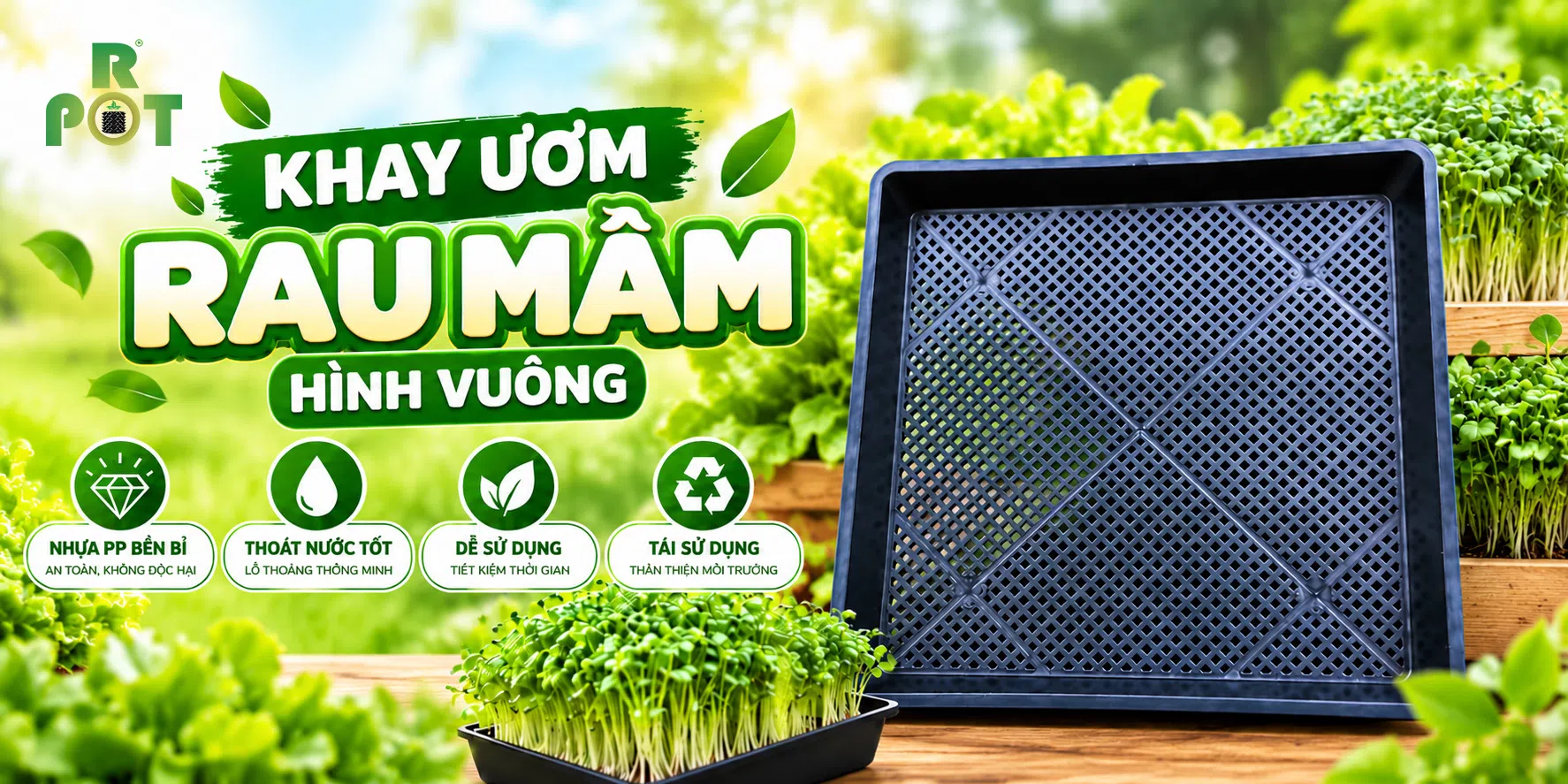 Khay Ươm Rau Mầm Hình Vuông – Khay Trồng Rau Sạch Tại Nhà
