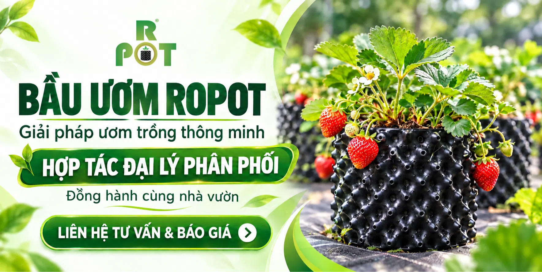 ảnh small 1