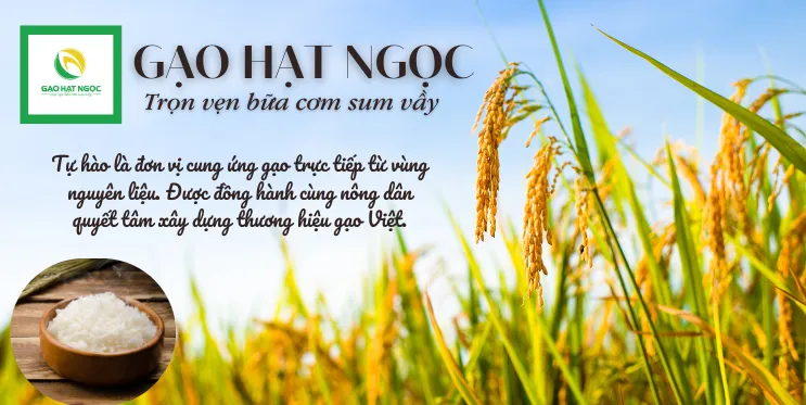 ảnh 1