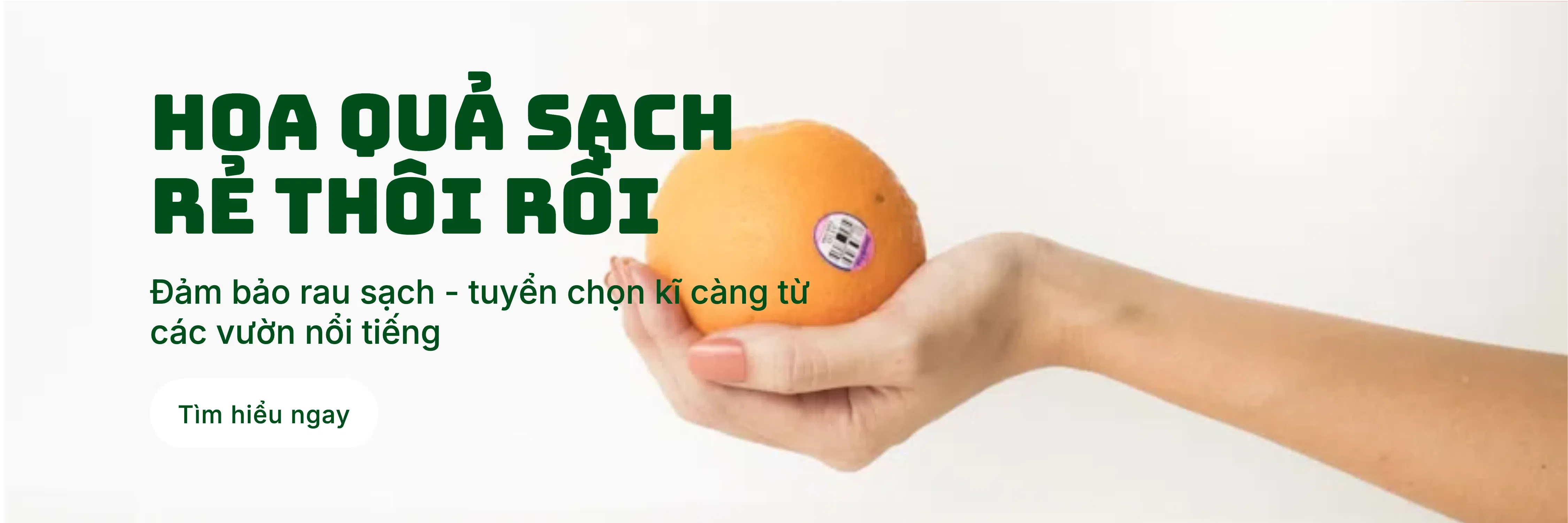 ảnh 1
