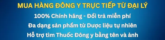 ảnh small 1