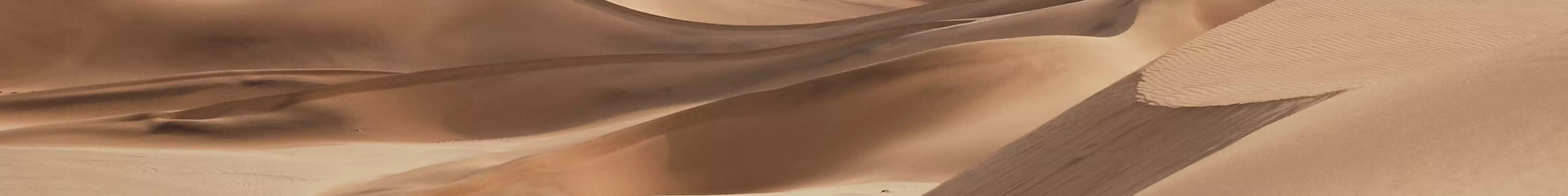 Banner phụ 1