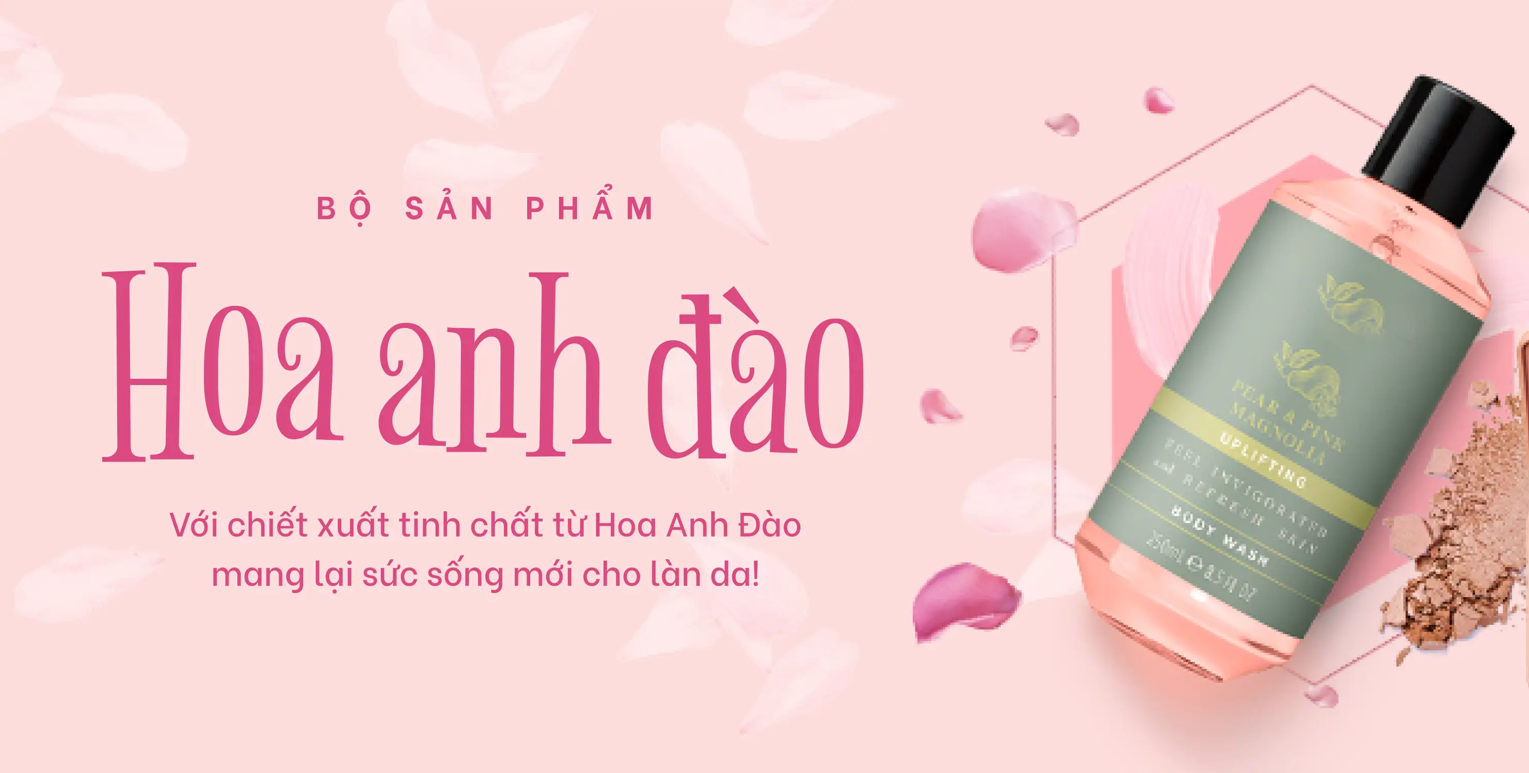 ảnh 1